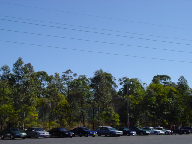DSC03602.jpg