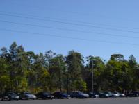 DSC03602.jpg