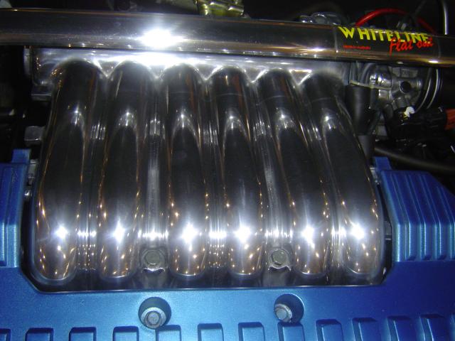 DSC01601.jpg