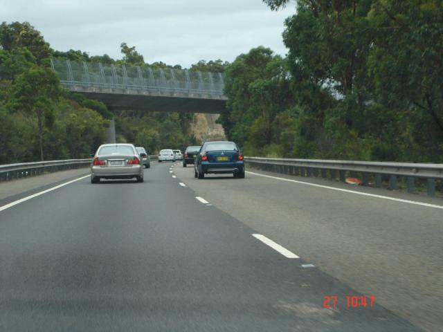 DSC01013.jpg