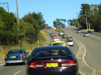 DSC01408.jpg