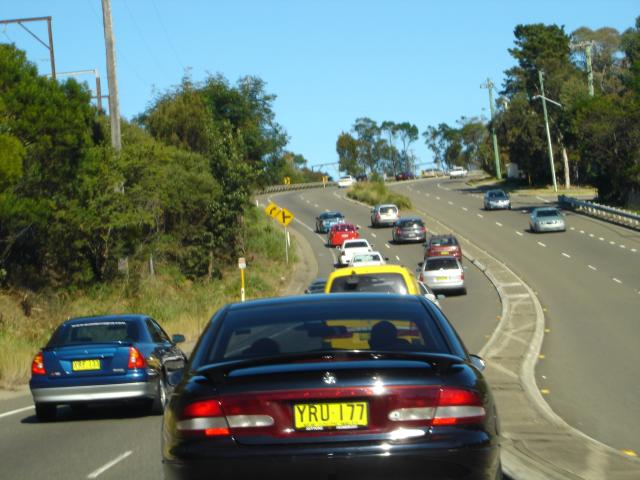 DSC01408.jpg