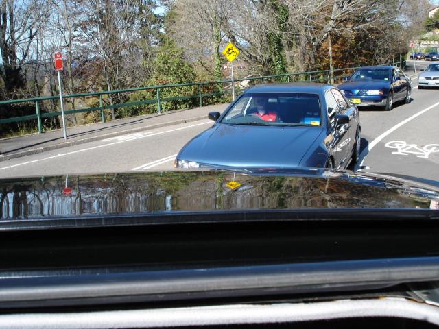DSC01423.jpg