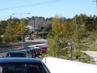 DSC01426.jpg