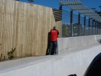 DSC01433.jpg