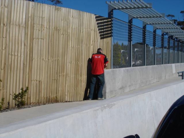 DSC01433.jpg