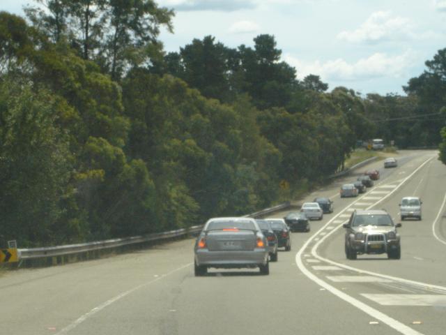 DSC02519.jpg