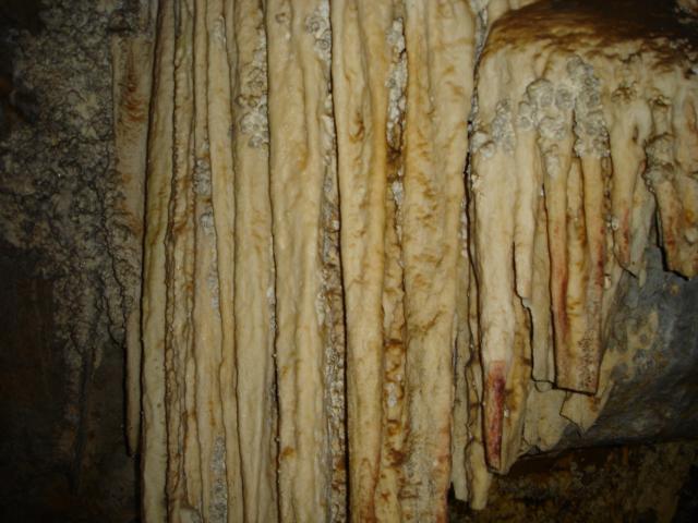 DSC02535.jpg
