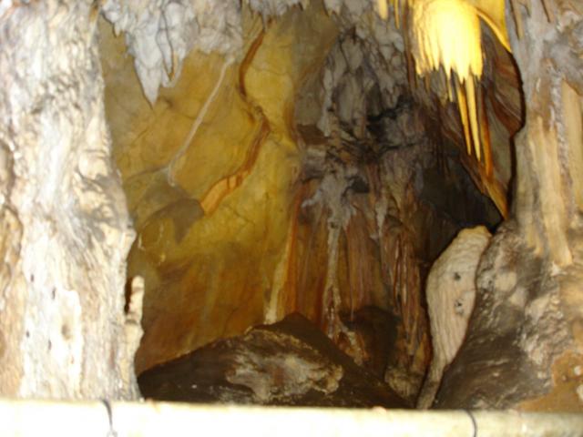 DSC02537.jpg