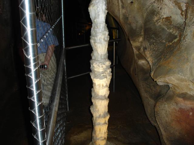DSC02547.jpg
