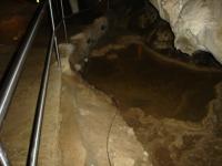 DSC02549.jpg