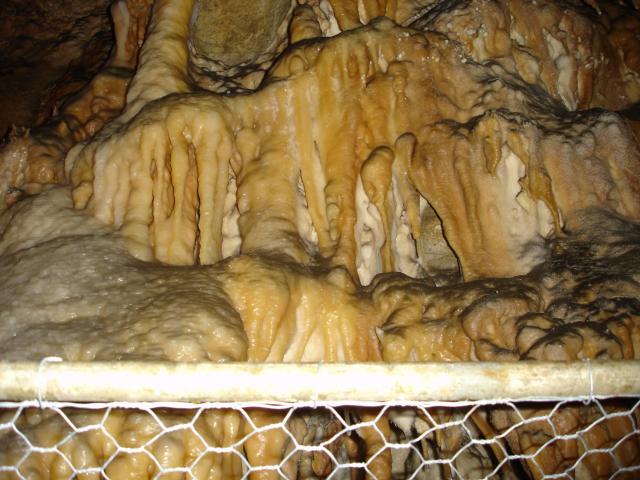 DSC02564.jpg