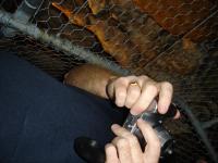 DSC02565.jpg