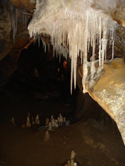 DSC02569.jpg