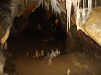 DSC02570.jpg