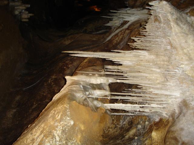 DSC02571.jpg