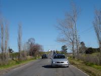 DSC02801.jpg
