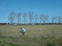 DSC02804.jpg