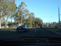 DSC02842.jpg