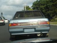 DSC03061.jpg