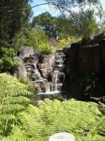 Day 3 - Mt Tamborine & Aqua Duck