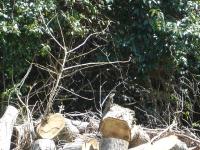 DSC03031.jpg