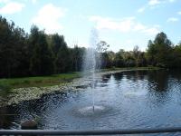 DSC03032.jpg