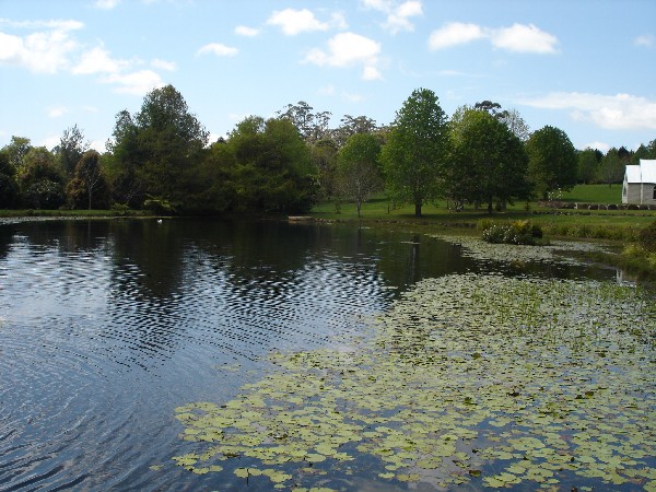 DSC03033.jpg