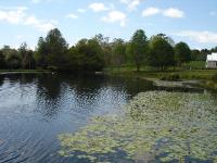 DSC03033.jpg