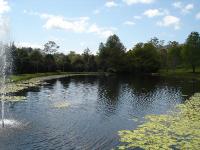 DSC03034.jpg