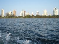 DSC03046.jpg