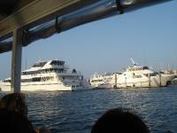 DSC03054.jpg