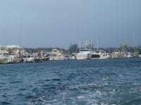 DSC03059.jpg