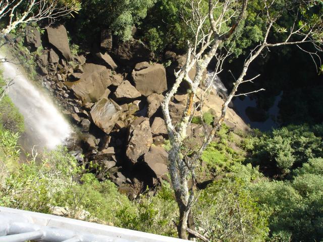 DSC03739.jpg