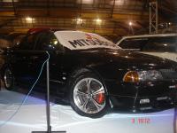 DSC00495.jpg