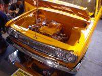 DSC00049.jpg