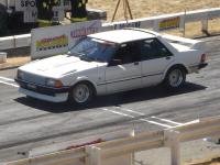 DSC02063.jpg